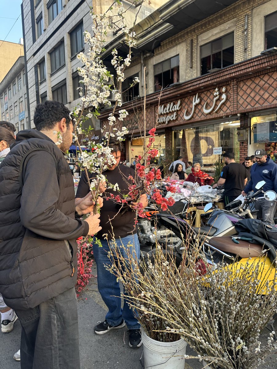 Helyeh Doutaghi tweet media