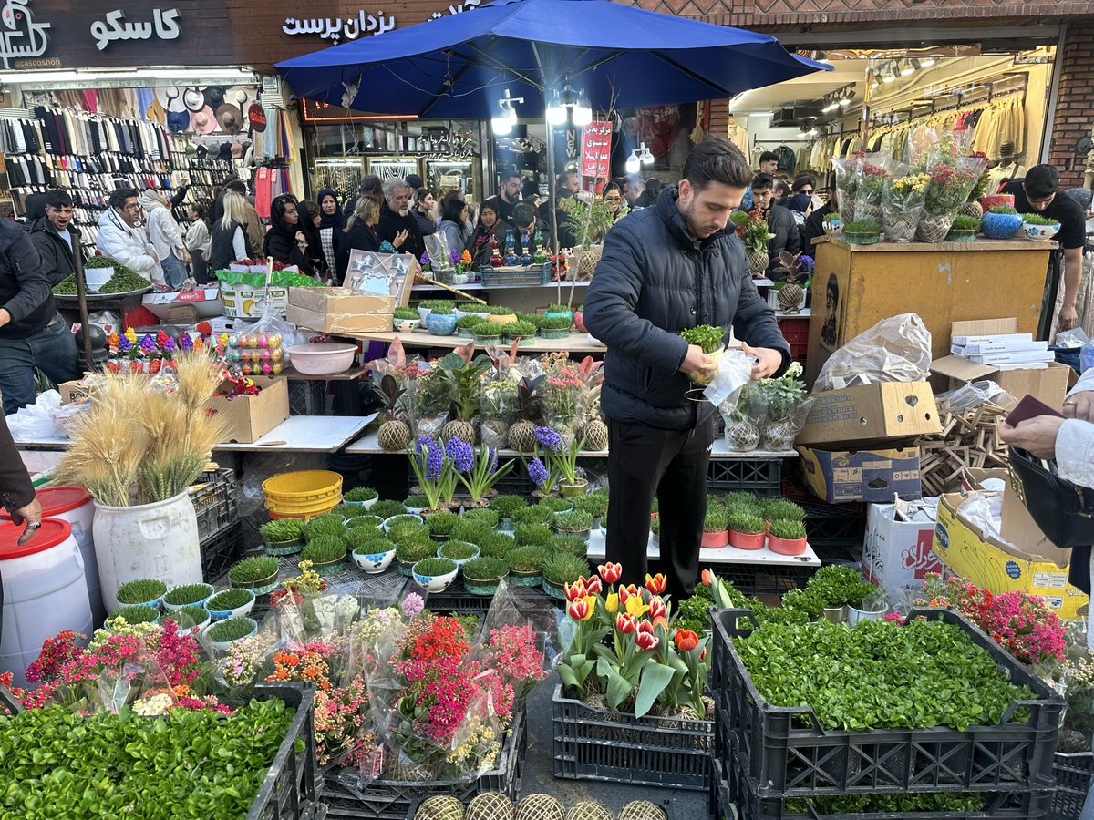 Helyeh Doutaghi tweet media