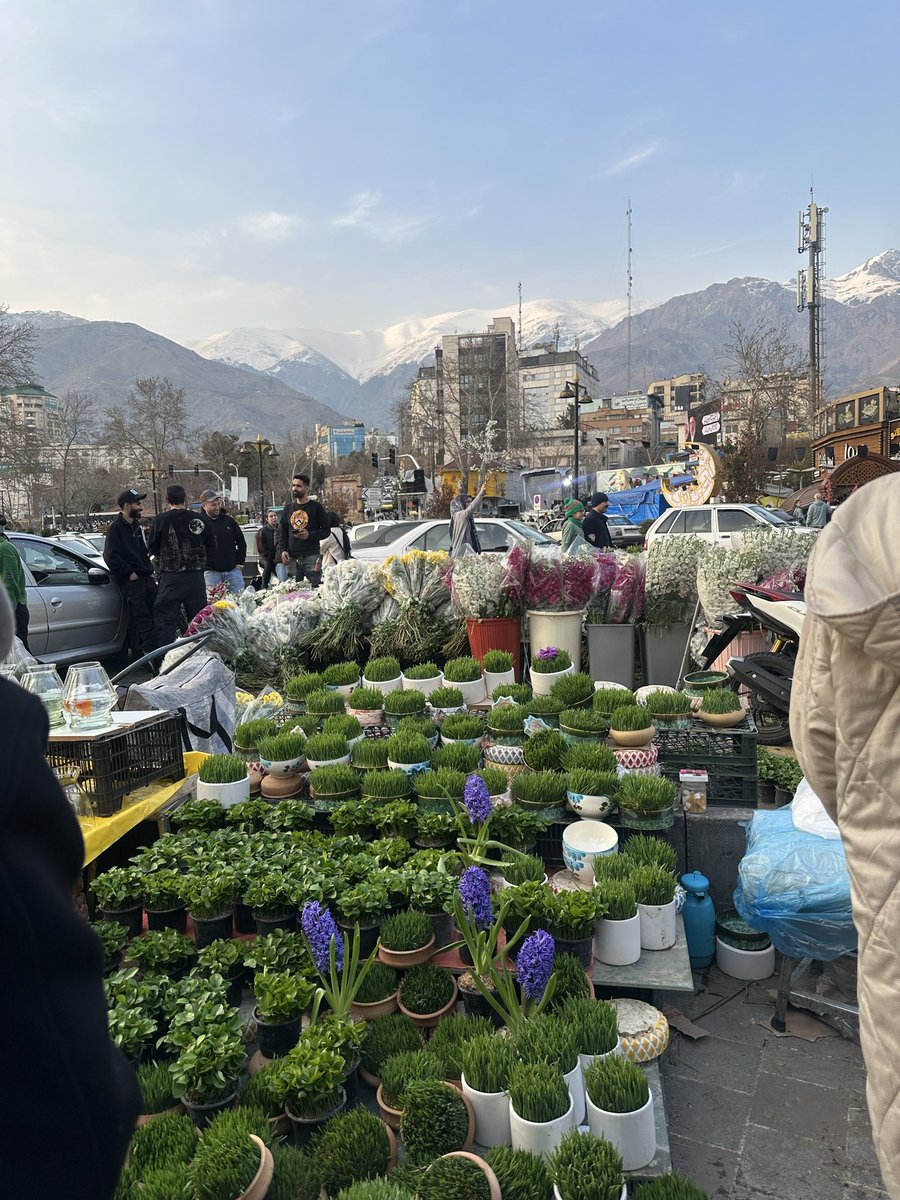 Helyeh Doutaghi tweet media