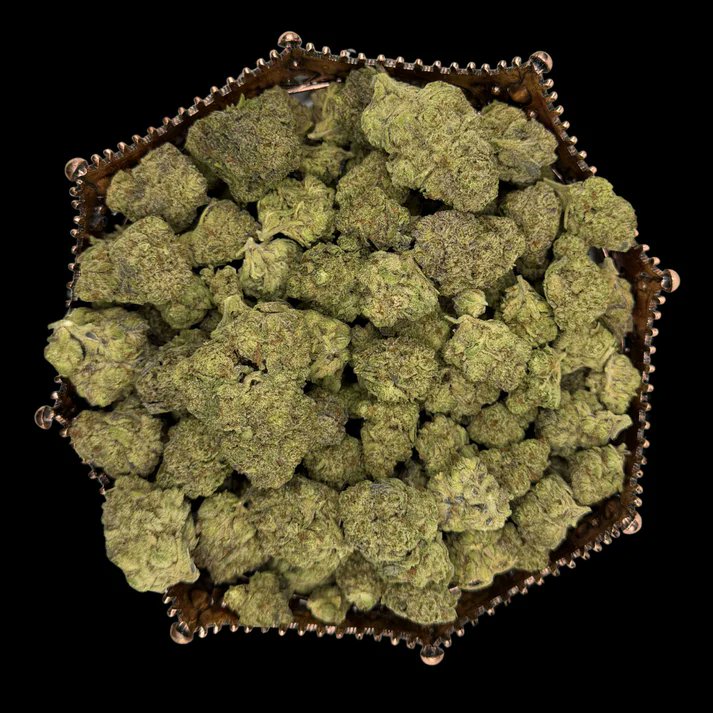 LSEnterpri6's tweet photo. https://t.co/UY6PzfyVbC
Adult Use Only 21+🚨
#THCAKing discount code: CPORT💸
#GorillaGlue Greenhouse #THCA
This legendary strain marches into the Kingdom, coated in trichomes, smelling like gas and that unmistakable gluey funk. Dense buds. Heavy nose. Smooth burn.
#BulkTHCA https://t.co/J3ArnuqsER