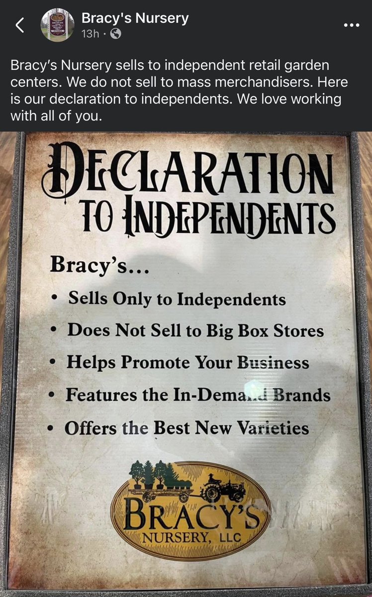 Michael Fiore - Garden Center tweet media