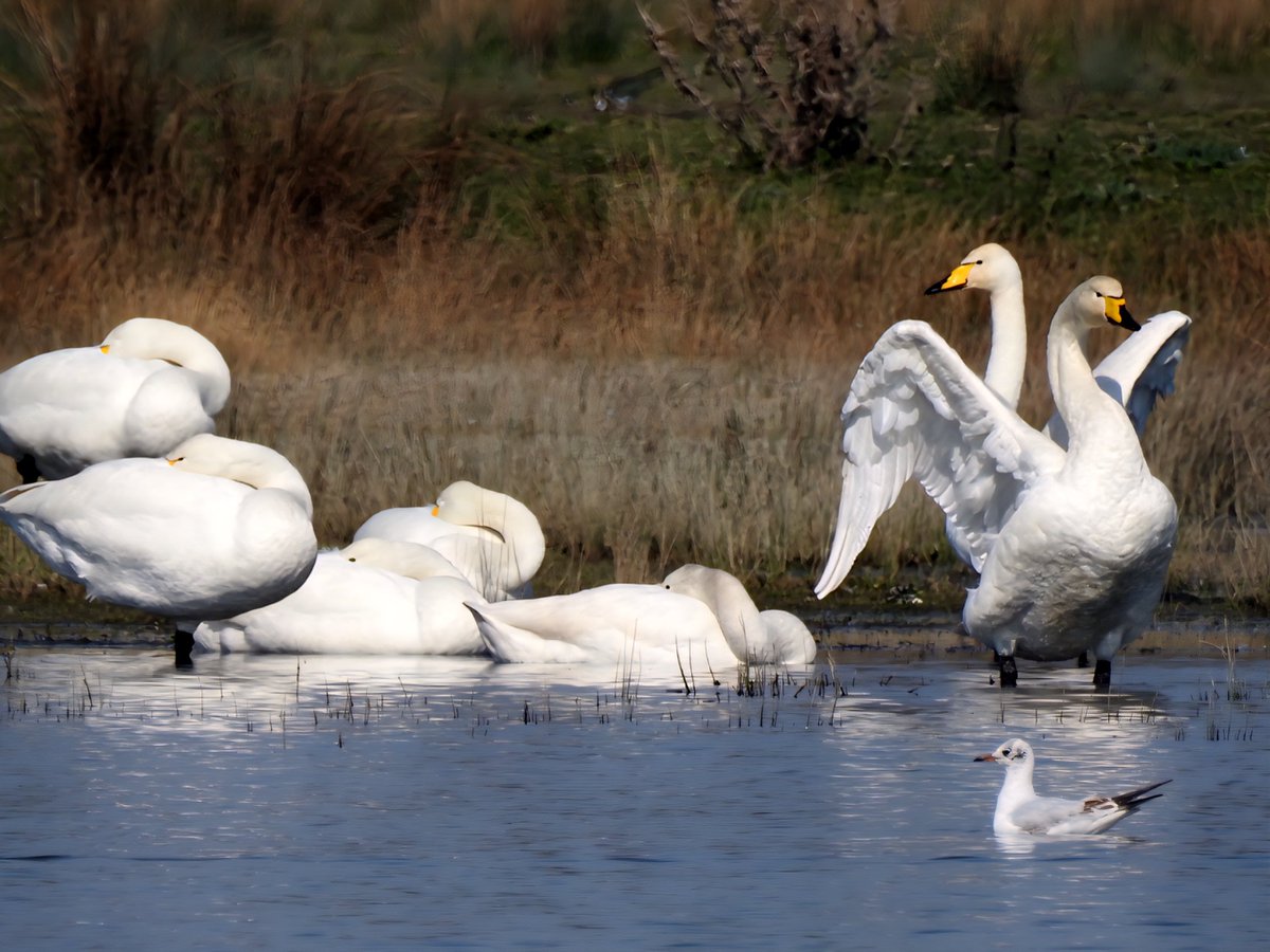 Gary Stones tweet media