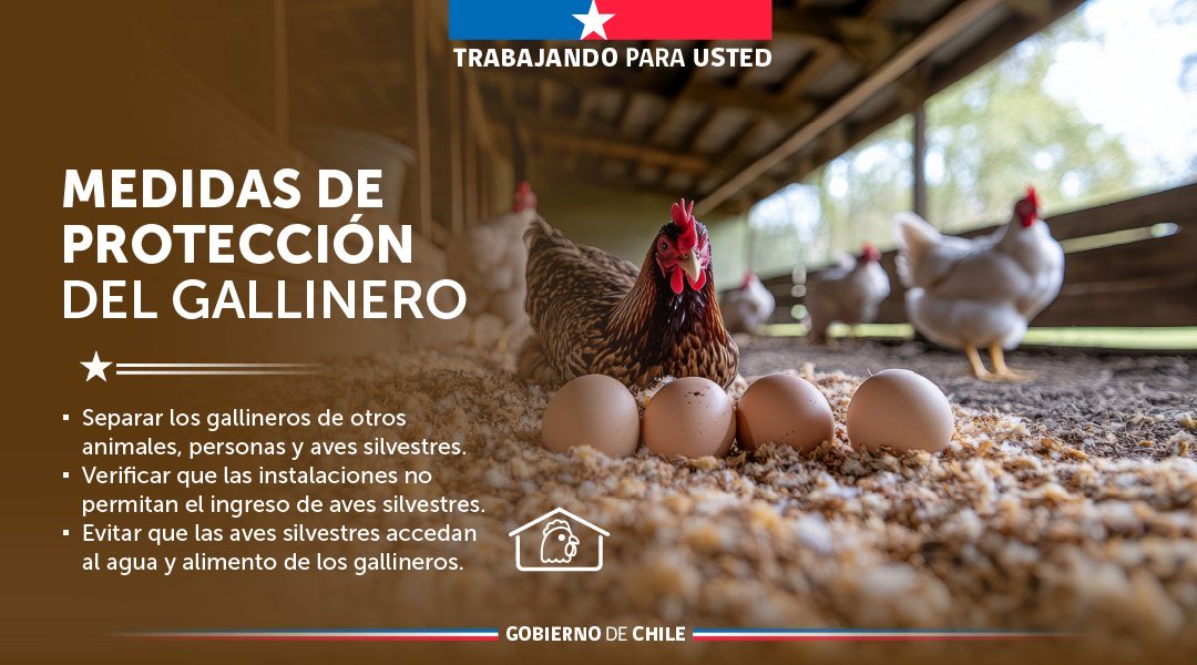 Minagri Biobío tweet media