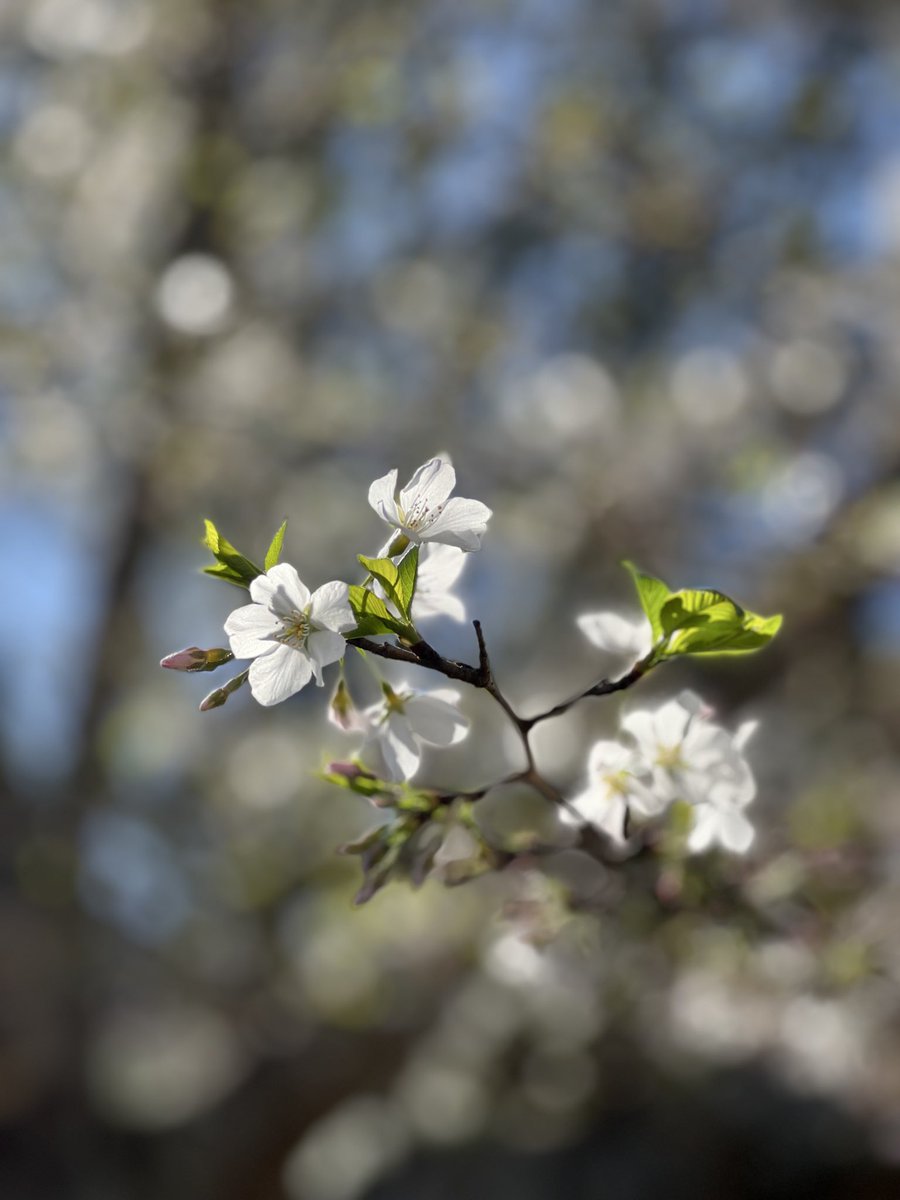 Darby Bailey, Ph.D. 🖍️💫 tweet media