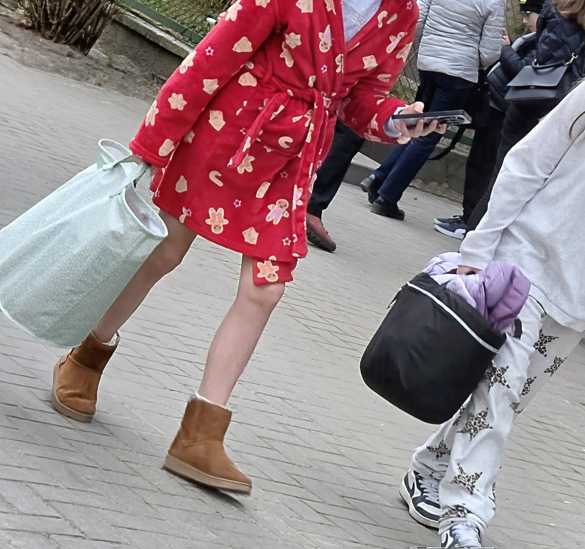 olyapka (Proud Ambassador of Barsik) tweet media