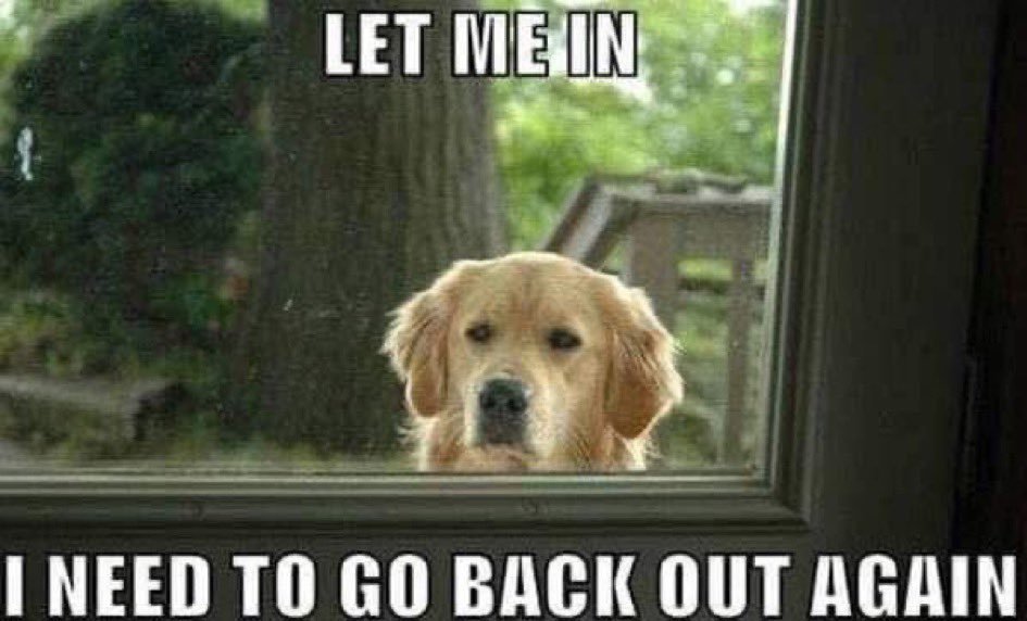 Ghostmaker2221 tweet media