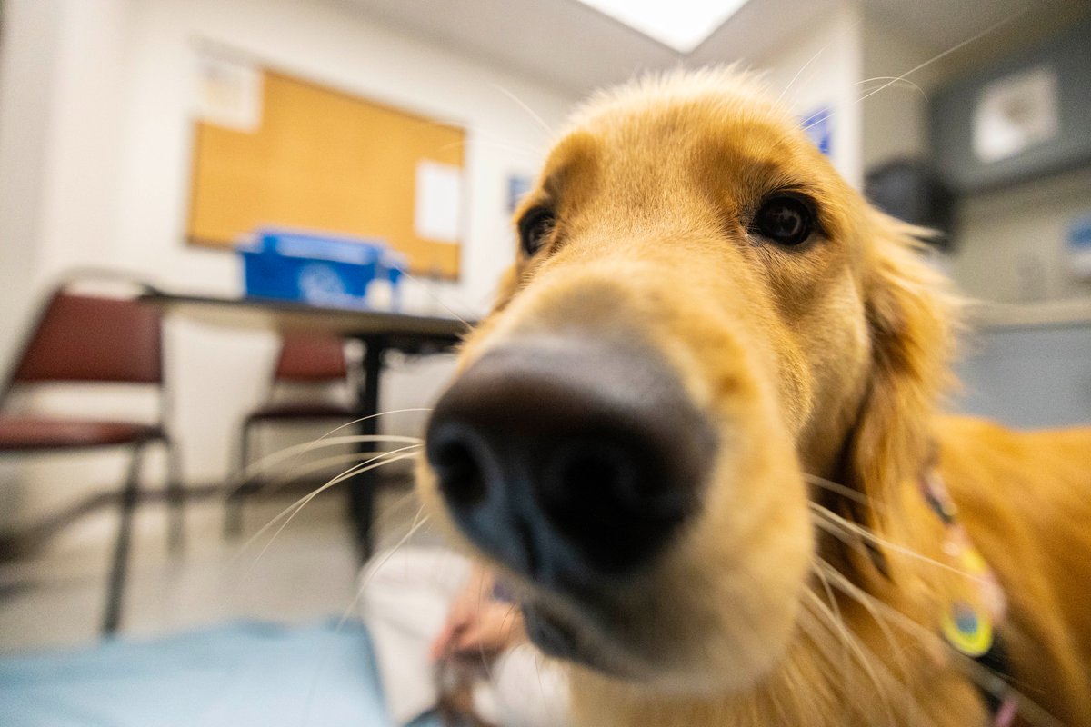 WorkingatDuke's tweet image. 24 programs, 20,092 participants, one healthy Duke. See Duke’s employee wellness program reshapes routines and inspires staff and faculty to move more and feel better.

#WorkingAtDuke #HealthyDuke @DukeHealth

bit.ly/4bDlyfO
