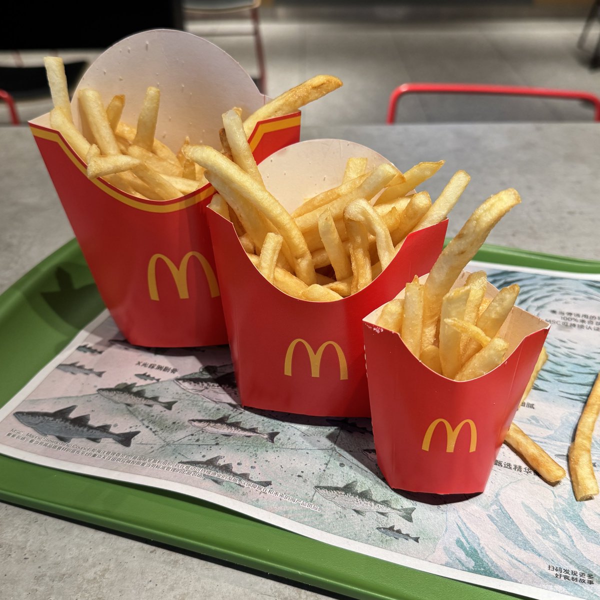 giants1kobe's tweet photo. マクドナルドのマックライポテトのミニサイズはほんとにミニ🍟だった https://t.co/MzqtWEPw75