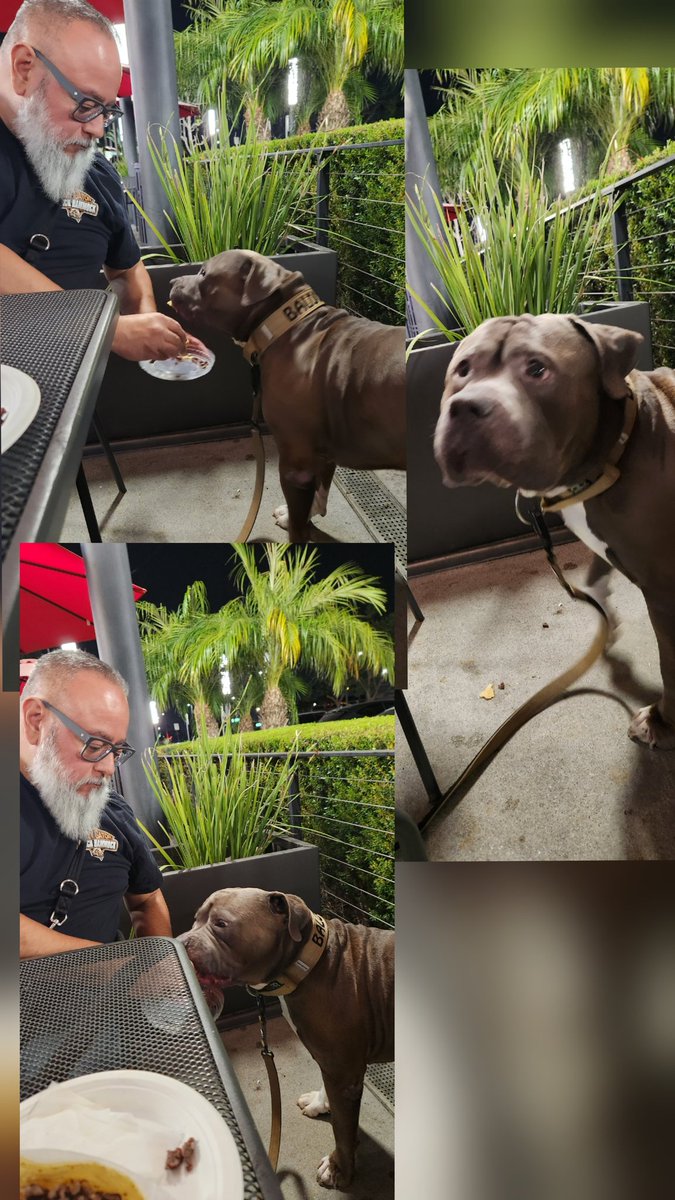 BigHeartBaloo tweet media