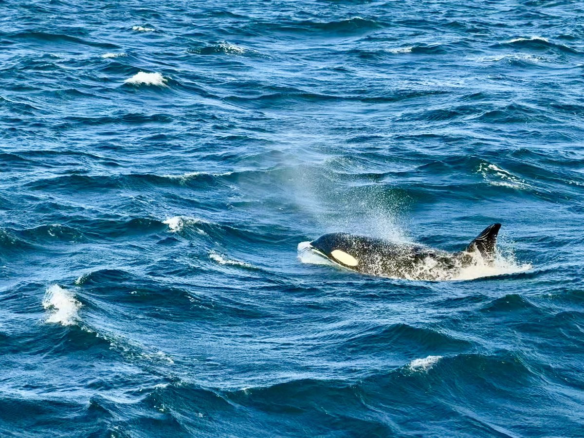 Jon (@jlucchesi) on Twitter photo 