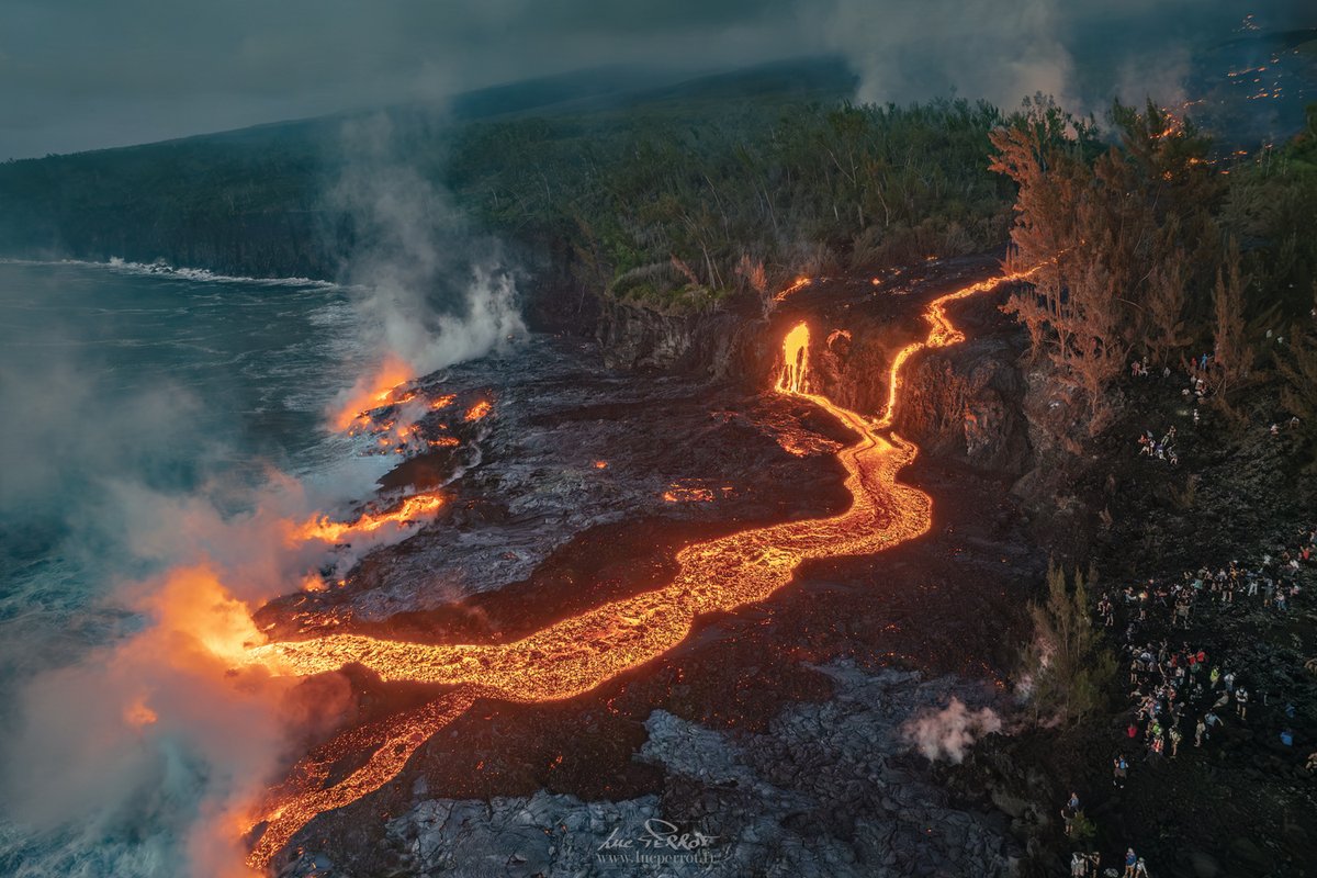 Luc Perrot tweet media