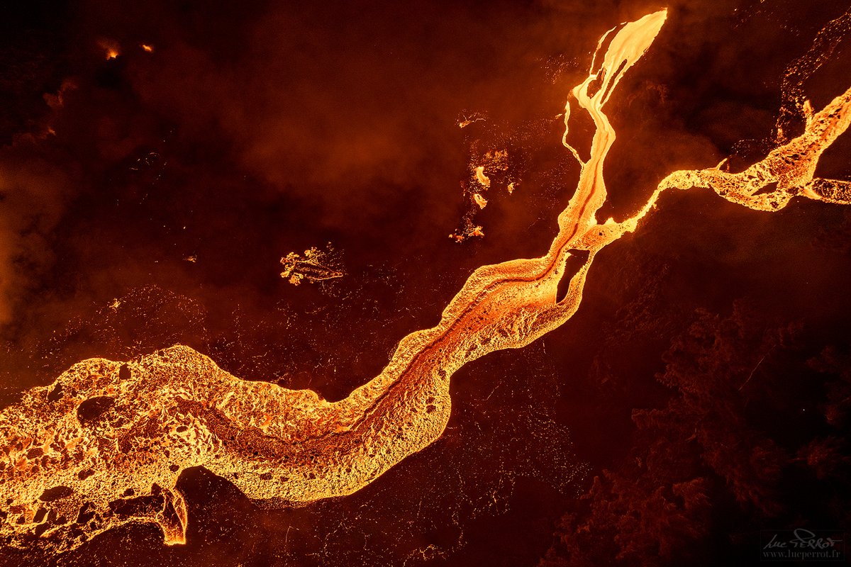 Luc Perrot tweet media