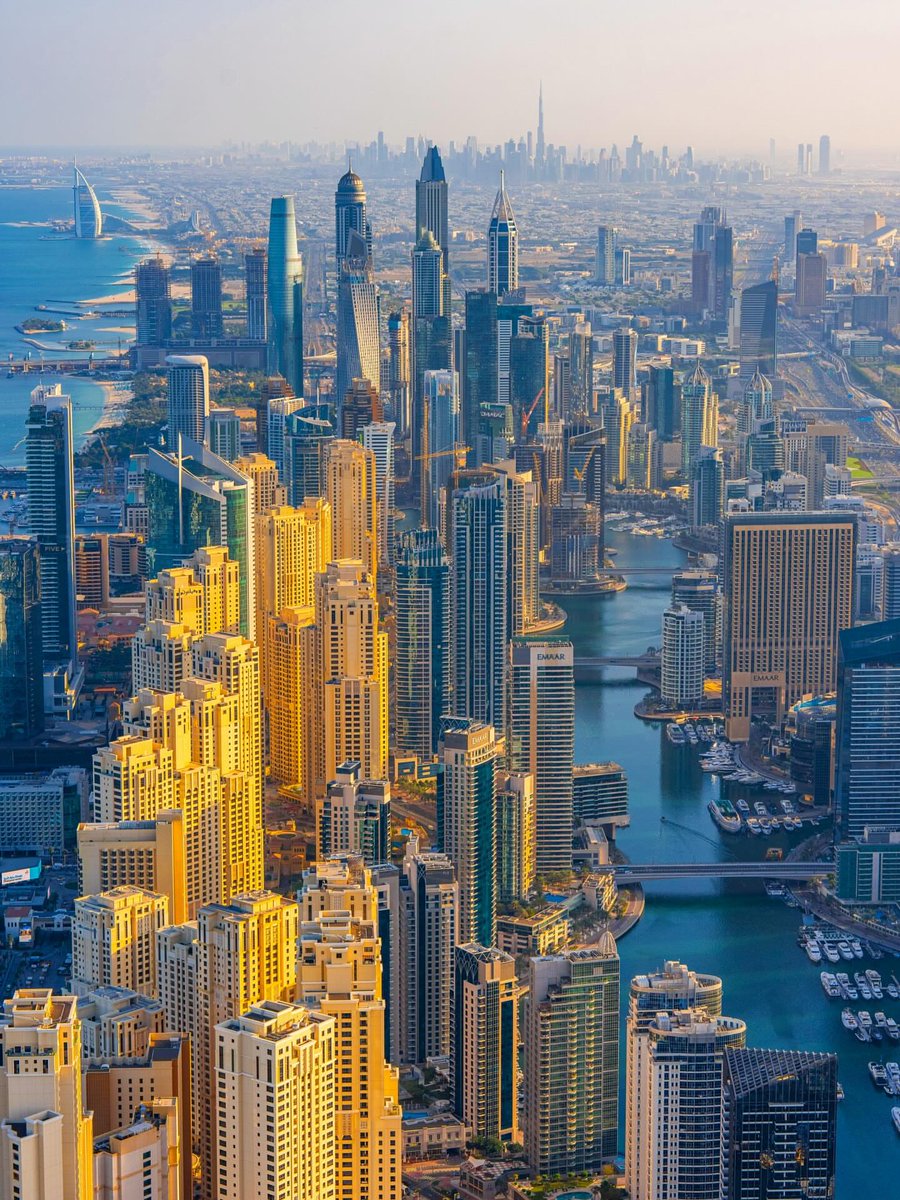 The World tweet media