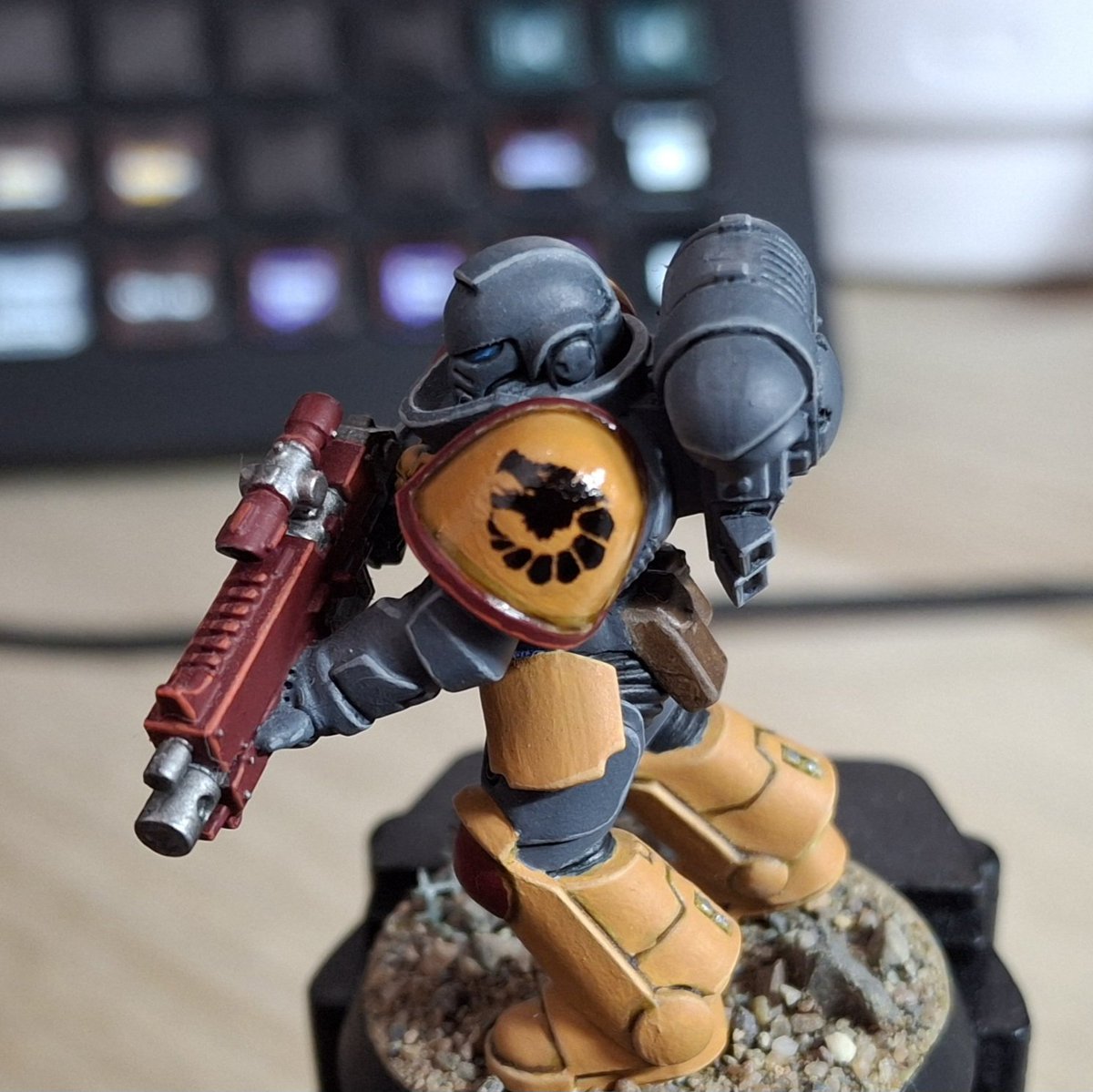 Zan Falconos 🐺 tweet media