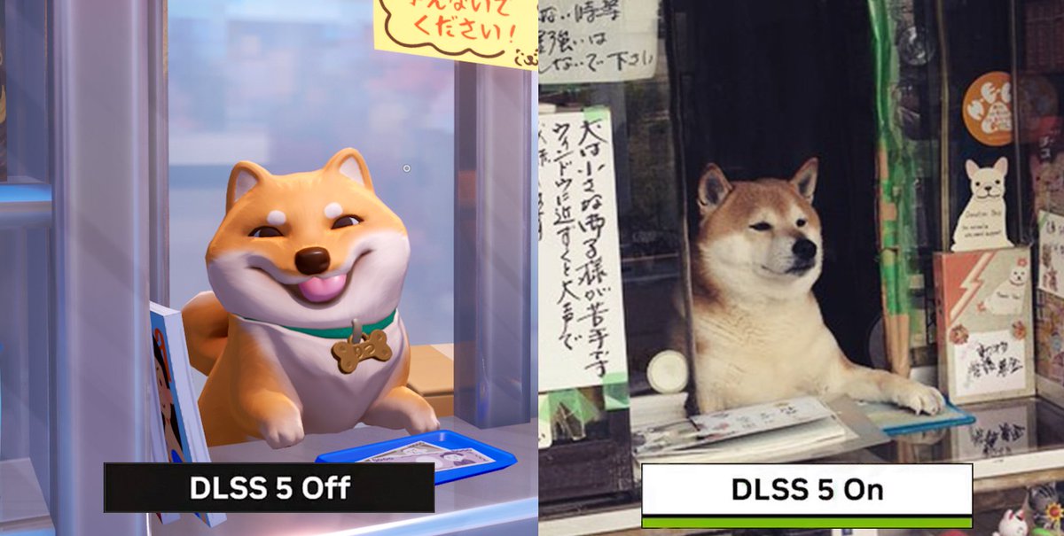 Shashingo: Learn Japanese with Photography tweet media