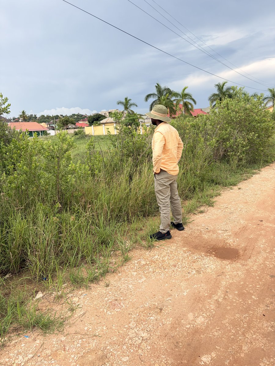 Thom Mnkondya tweet media