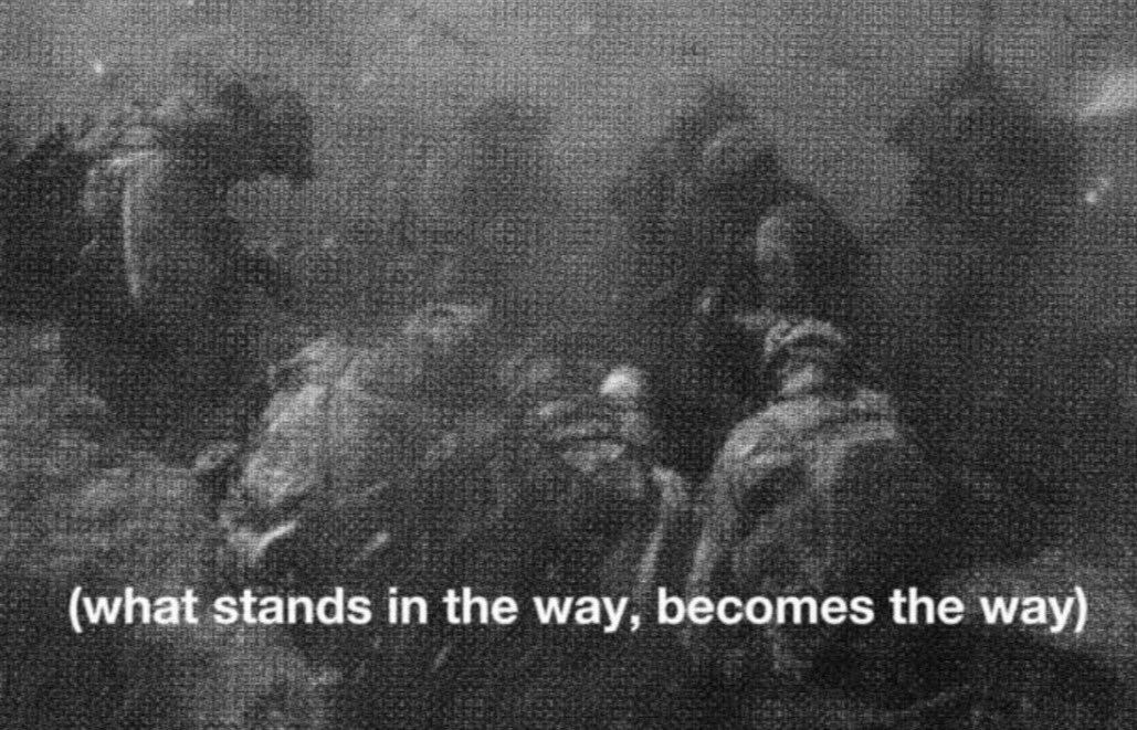 Take Testosterone tweet media