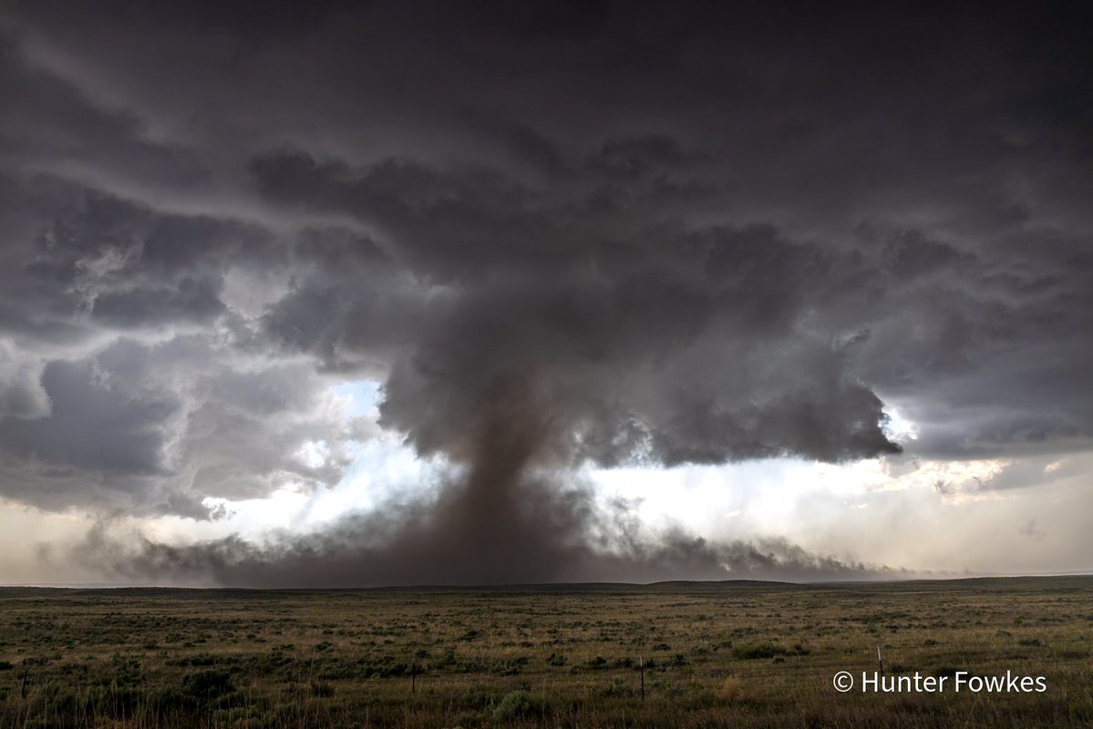 Hunte☈ Fowkes tweet media