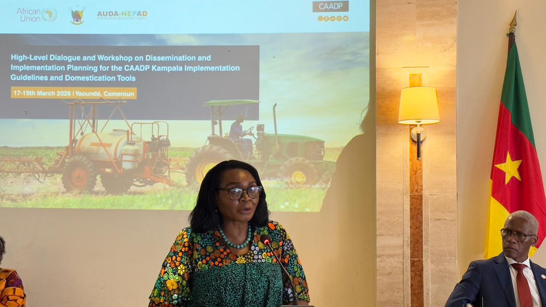 African Union tweet media