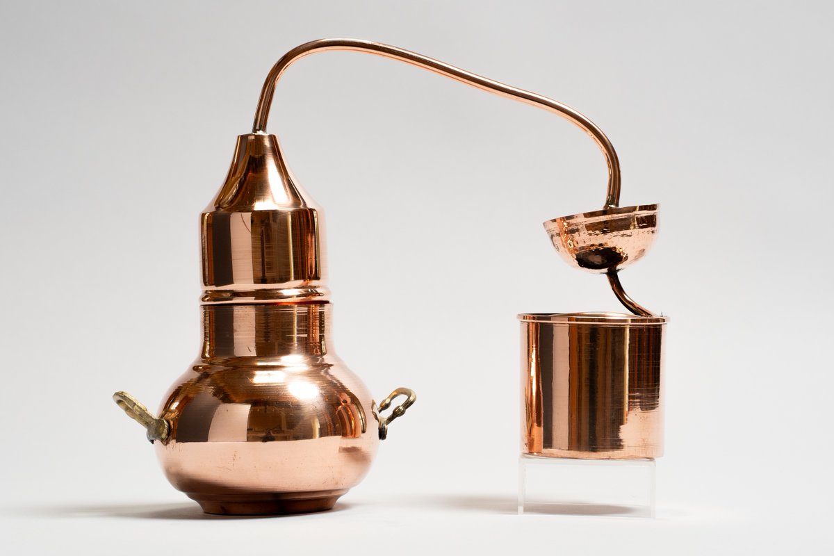 Sachs Museum at Missouri Botanical Garden tweet media