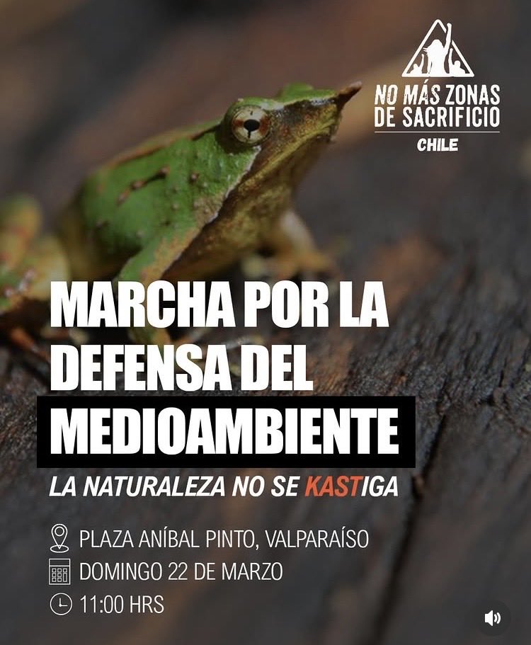 mids0mmarr's tweet photo. Marcha por la defensa del medioambiente en Valparaíso ✊🏼 #chile #valparaiso #viñadelmar https://t.co/JI82eJH9vA