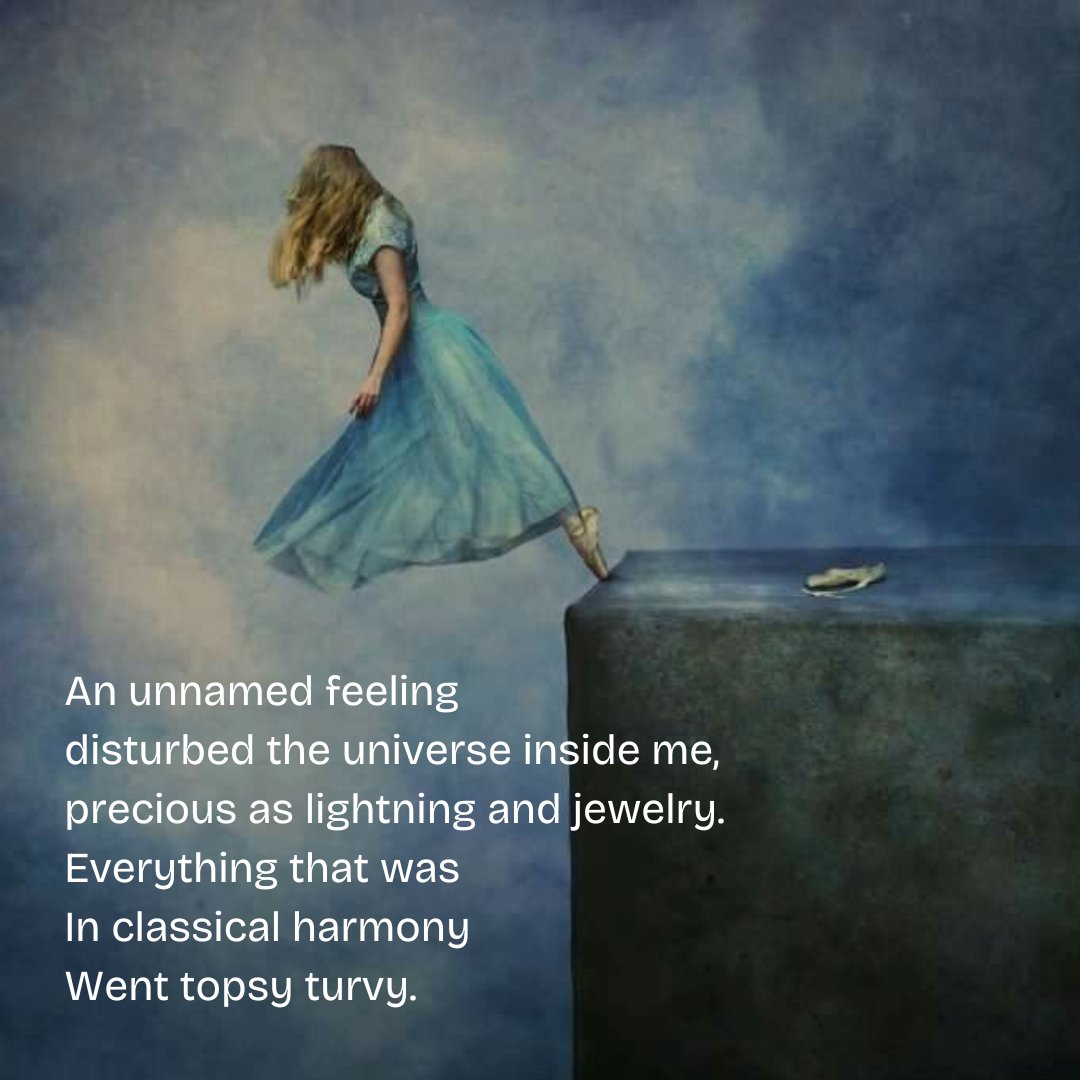 Neha's Notebook tweet media