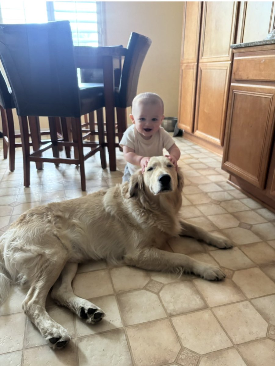 ForbushForCongress tweet media