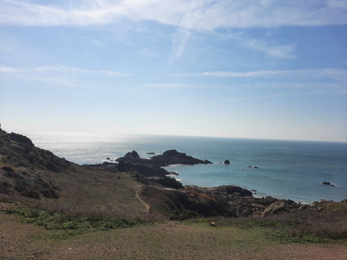 Alyson Meadowcroft, in memory of Macey, RIP 🌈. tweet media