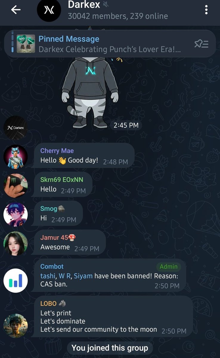 Rhea🐋 tweet media