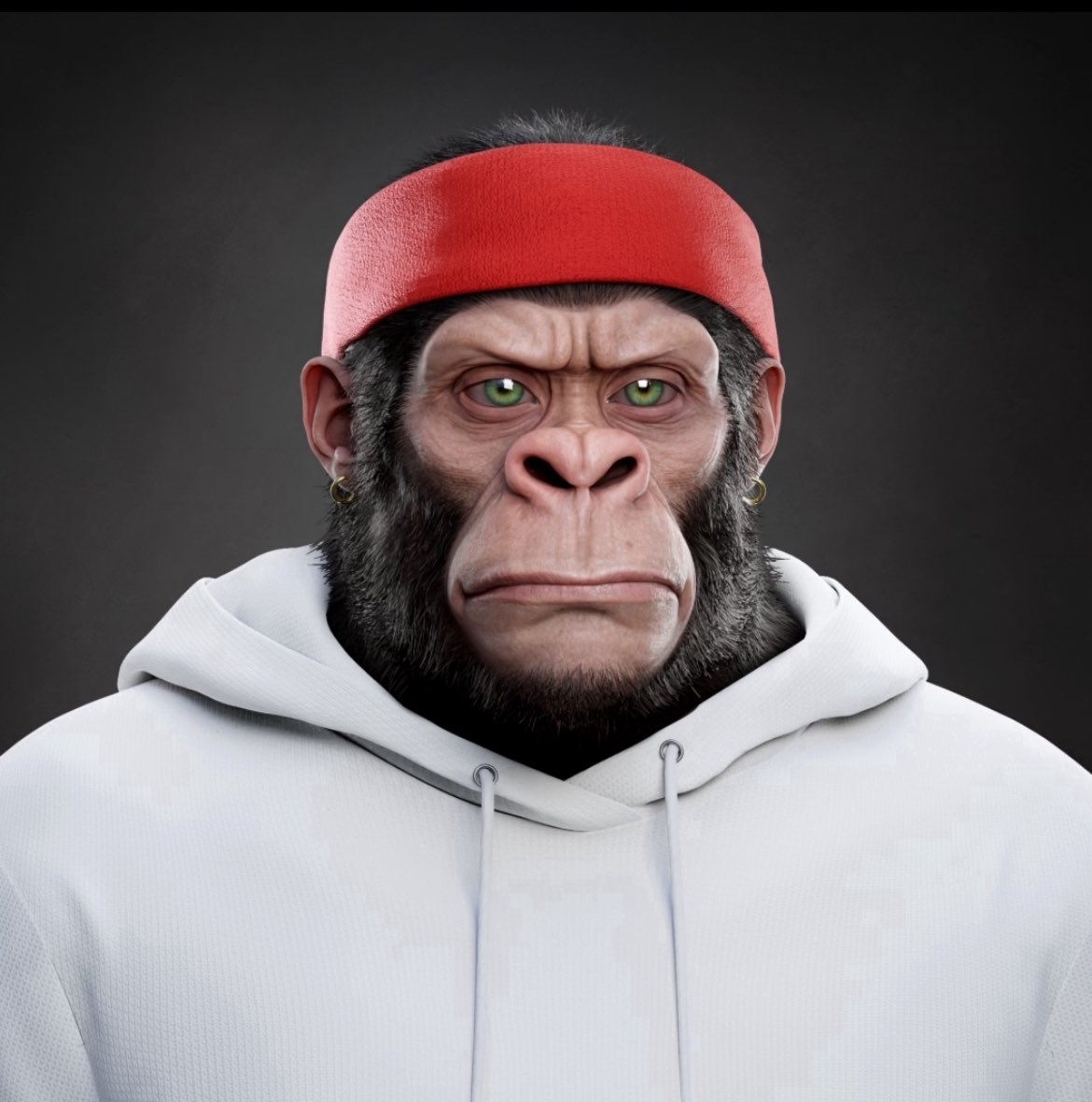 PackePilsner tweet media