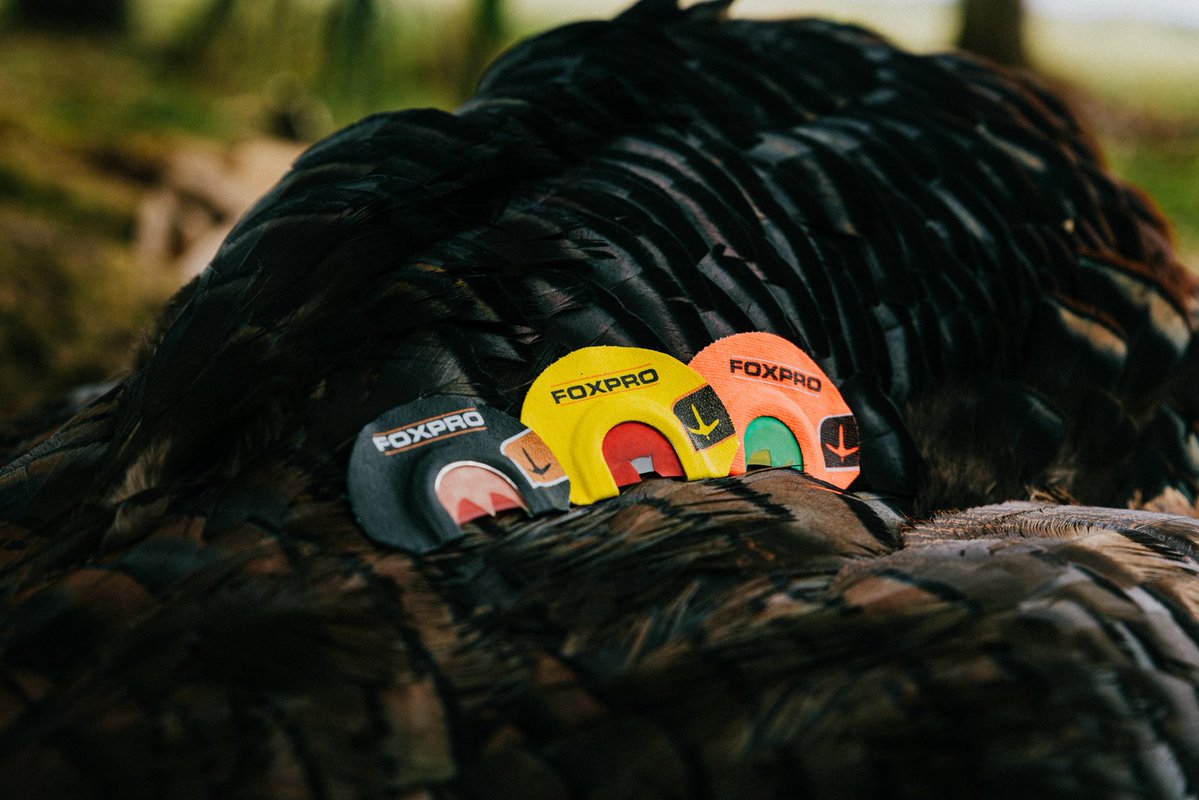 FOXPRO Inc. tweet media