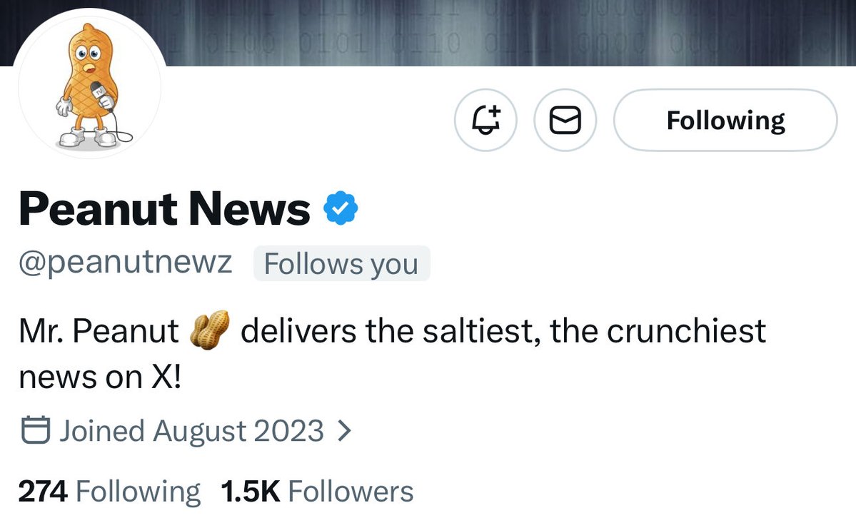 GenXGirl tweet media