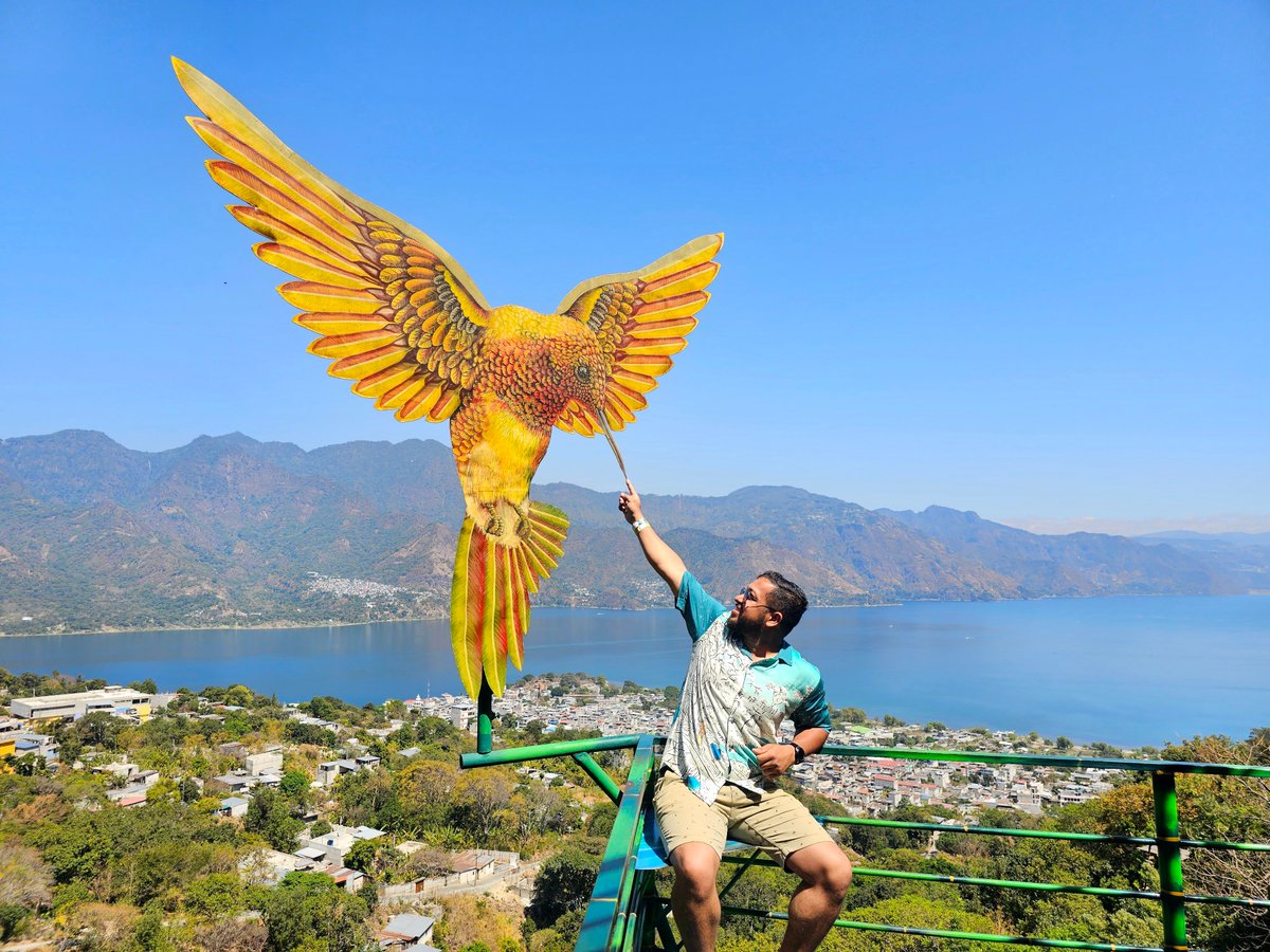 Ashish Jha tweet media