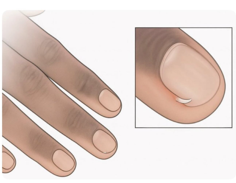 Onkel Barlow tweet media