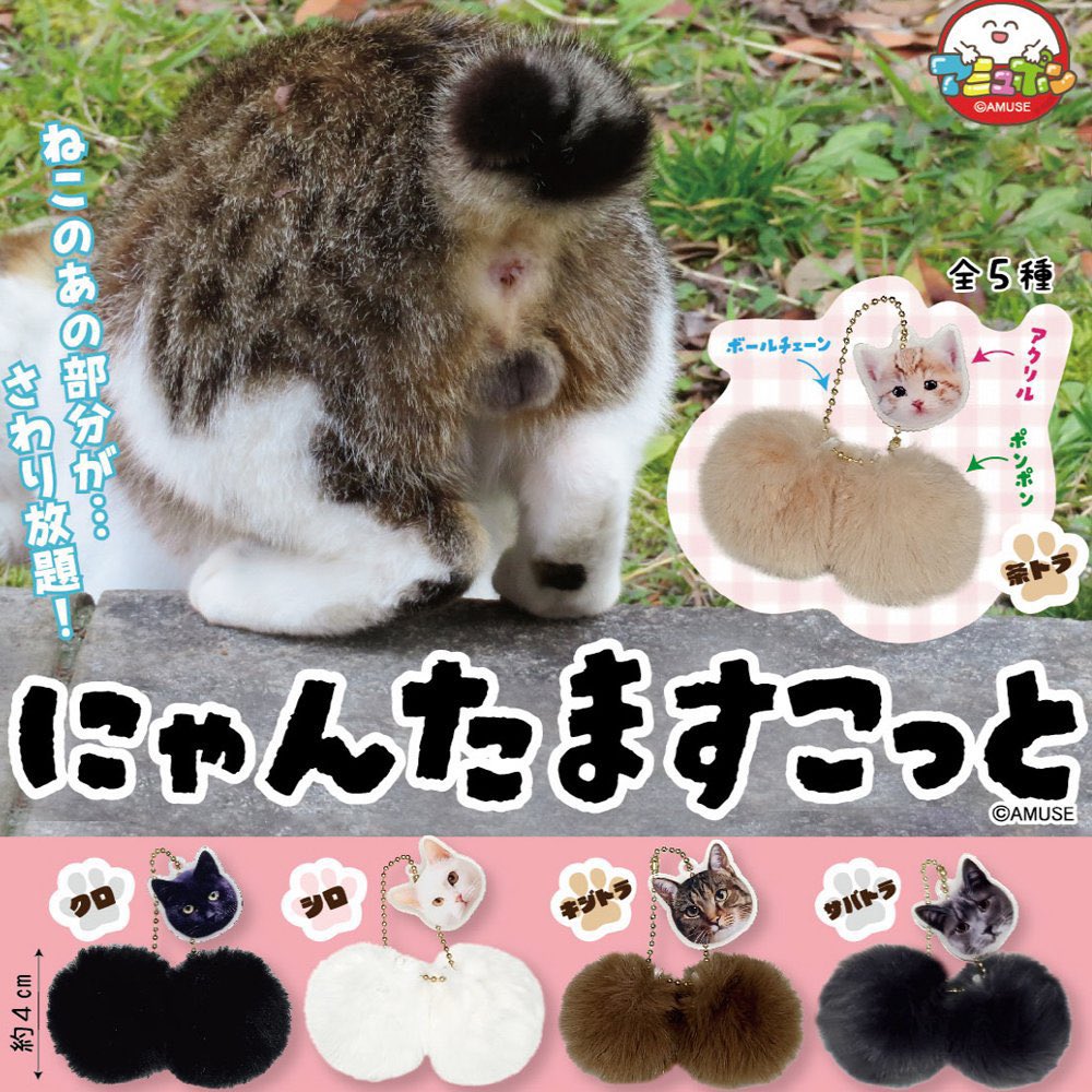 MelodicBrain tweet media