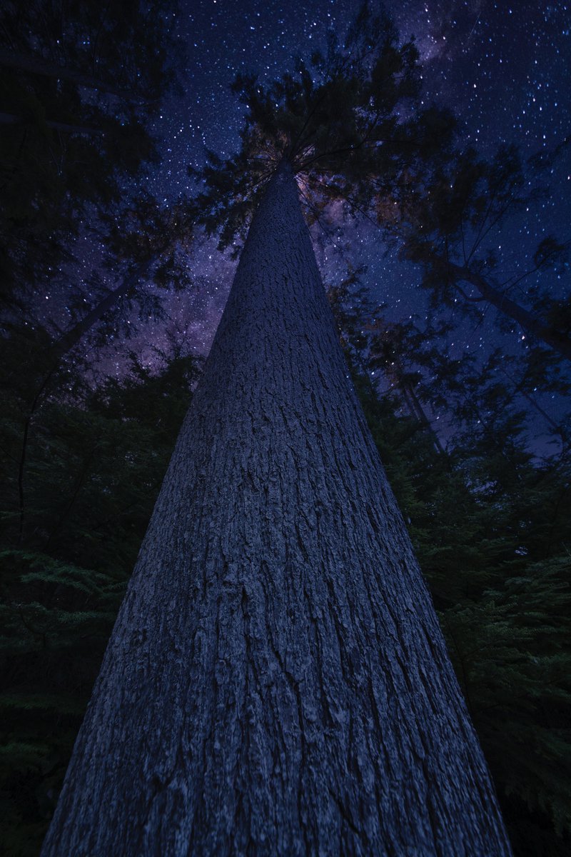 Jason Wilde tweet media