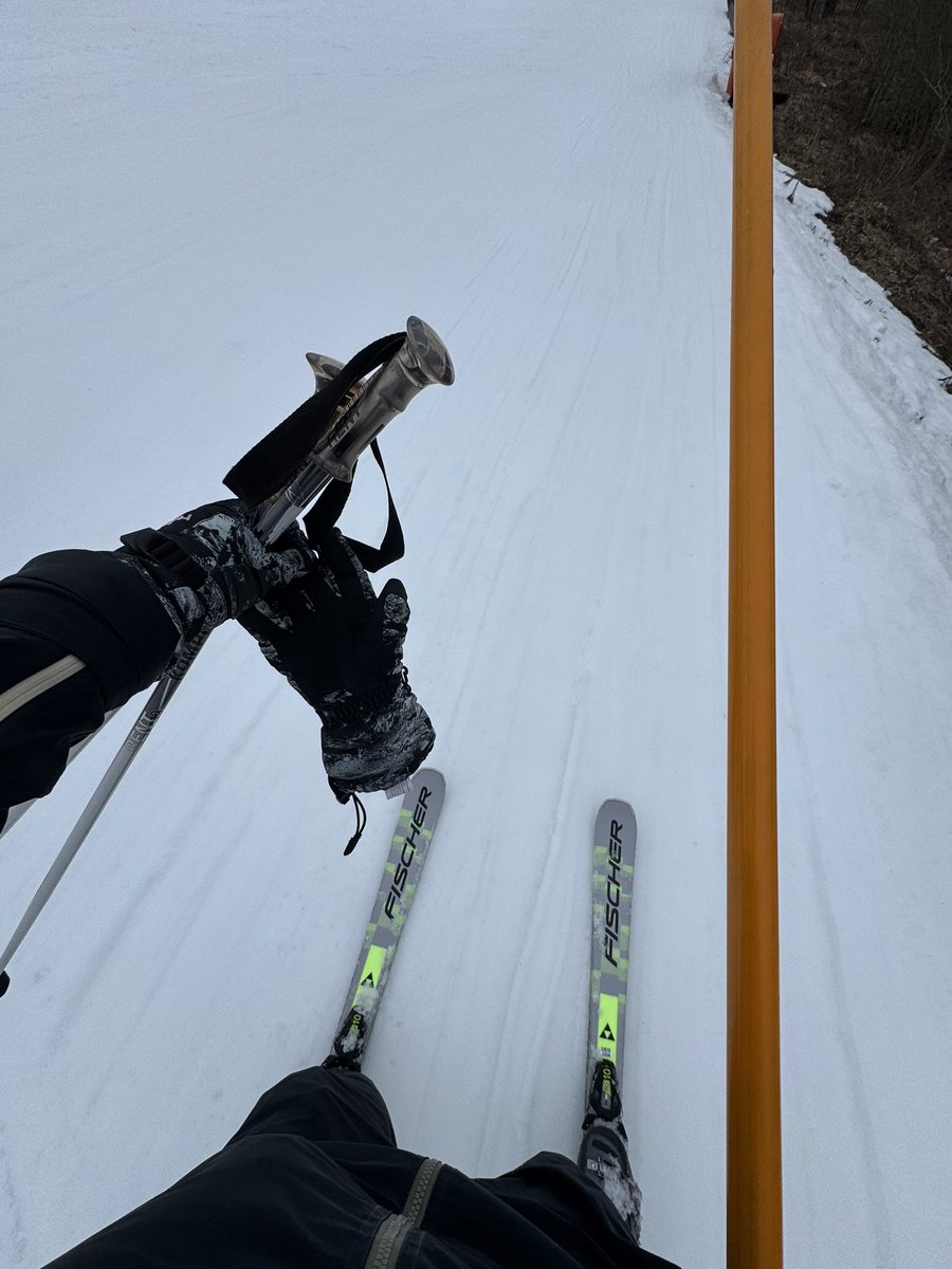 Dima the Red Pander🔜EF🐾30 tweet media