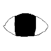 hi_immark tweet media