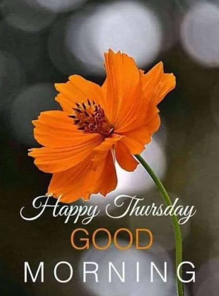 Fred Swartz tweet media