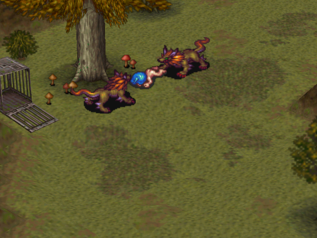 Haru 🐈 tweet media