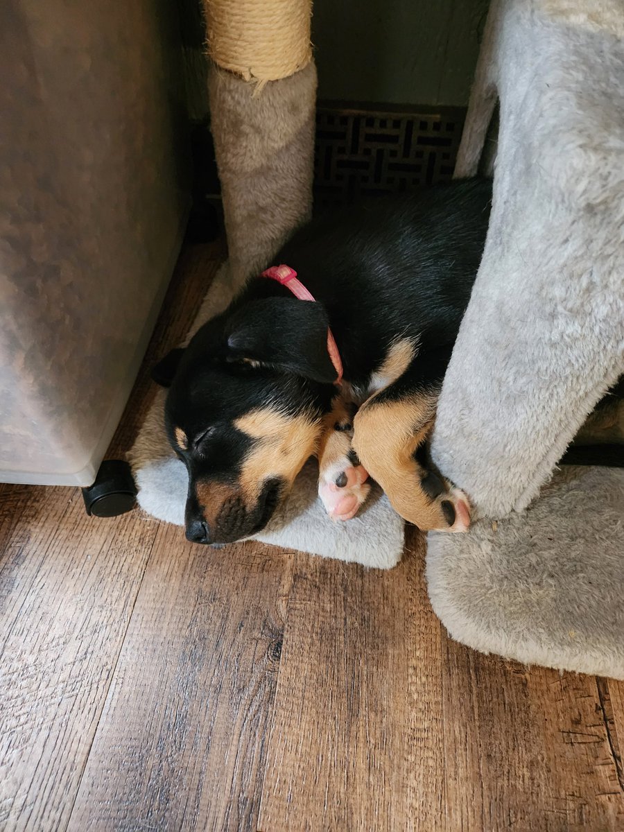 Scot....with one T!!! tweet media