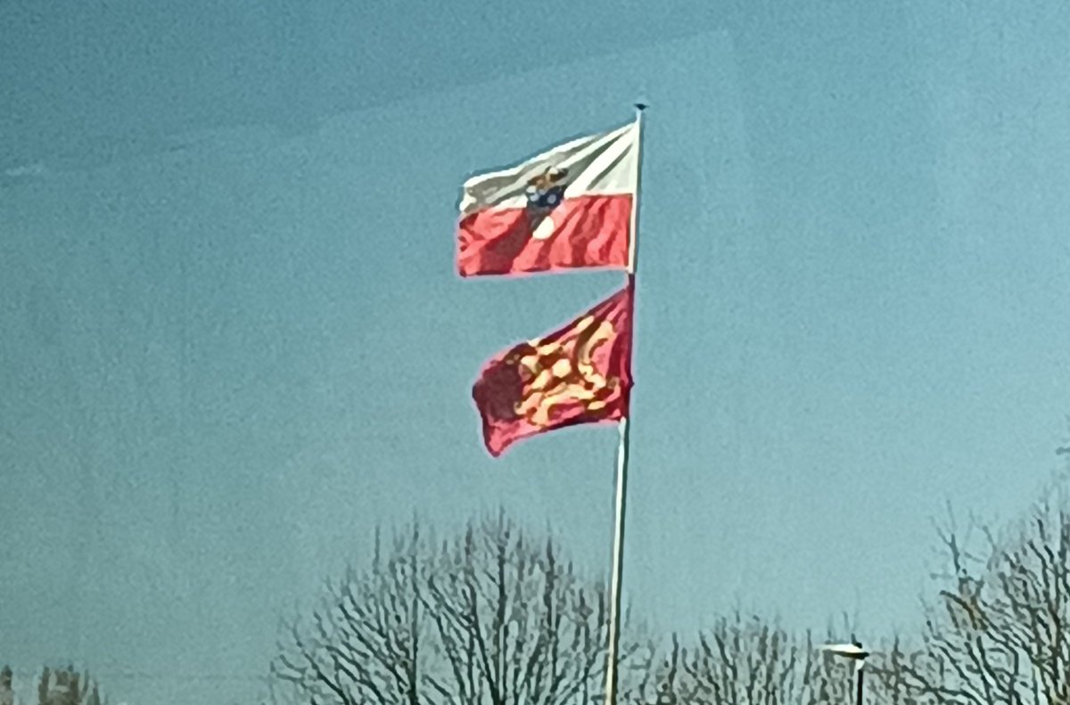 𓆤𓆣𓁿𓂏𓁿𓆣𓆤 tweet media