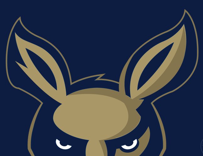 Dom DiMascio tweet media