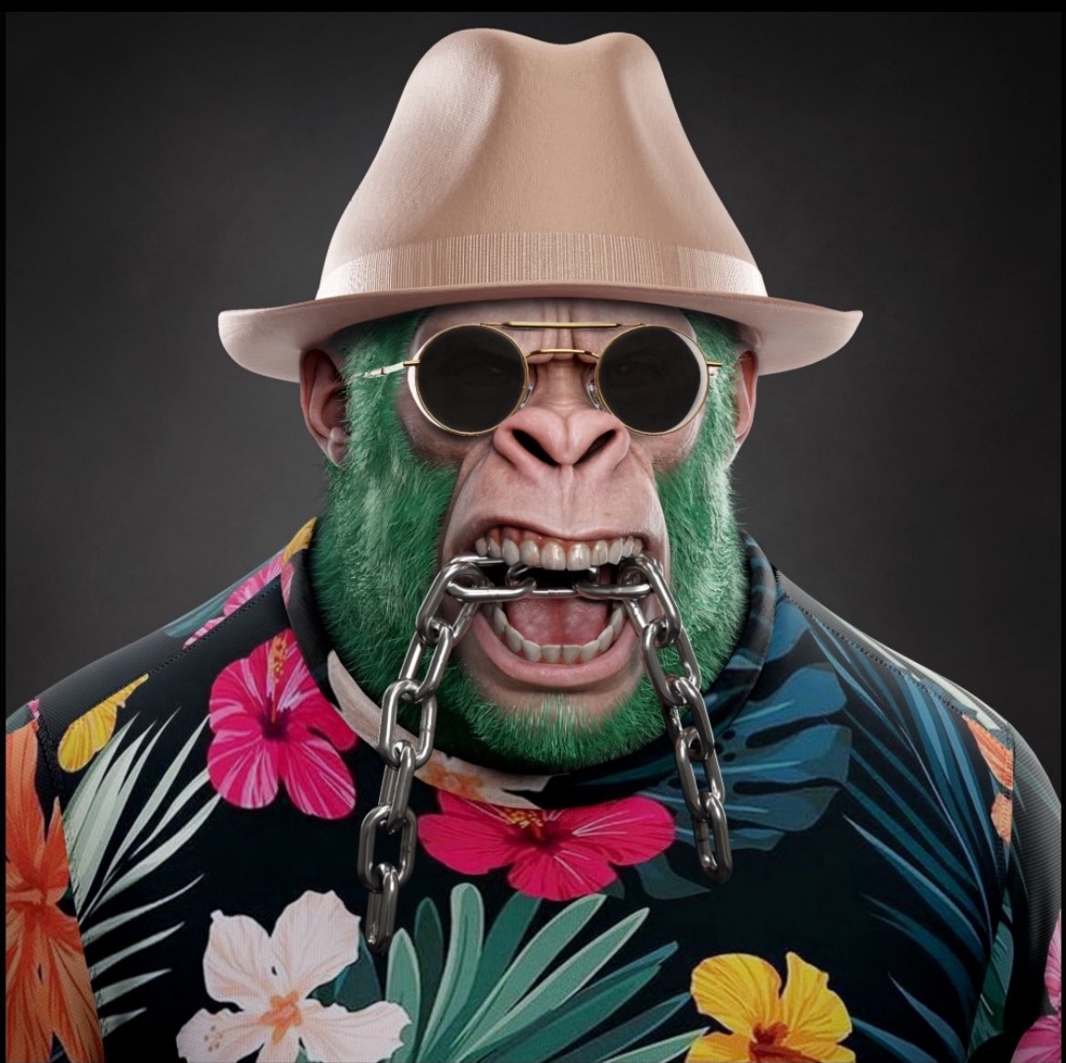 PackePilsner tweet media