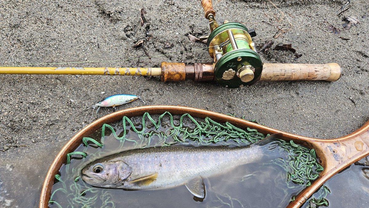 shoichi706851's tweet photo. 現場帰りの30分釣行で良いイワナが釣れました✨️
#63craft
#raidenfat
#2500c
#fenwick
#tiemco https://t.co/gbUPvCMY5V