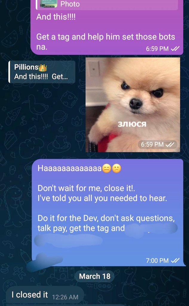 Pillions⚜️ tweet media