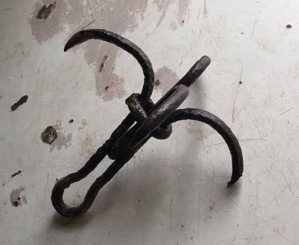 Jay bull tweet media