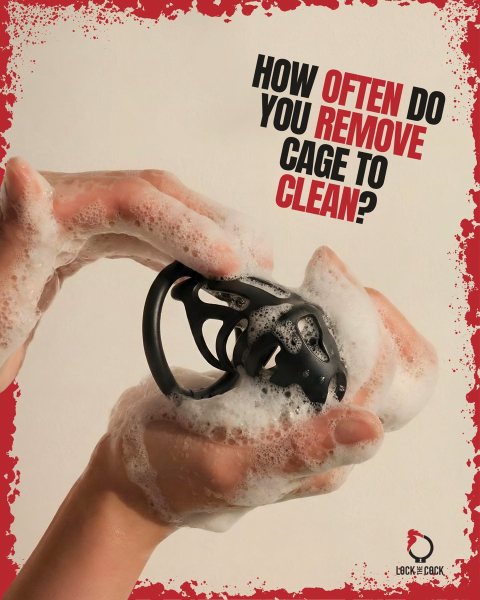 LOCKTHECOCK CHASTITY 🐔 tweet media