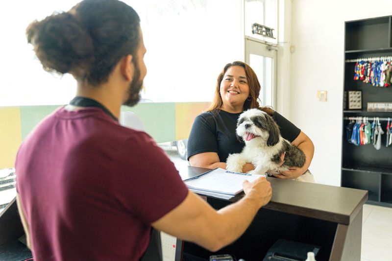 Veterinary Practice News tweet media