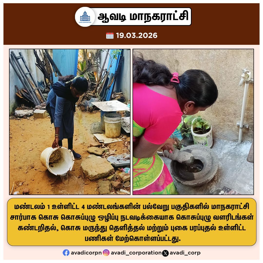 Avadi_Corp's tweet image. மாநகராட்சி சார்பாக கொசு கொசுப்புழு ஒழிப்பு நடவடிக்கையாக கொசுப்புழு வளரிடங்கள் கண்டறிதல், கொசு மருந்து தெளித்தல் மற்றும் புகை பரப்புதல் உள்ளிட்ட பணிகள் மேற்கொள்ளப்பட்டது.

#HealthWorkers #Dengue  #Source  #Mosquito #Prevention @TNDPHPM @SwachhBharatGov #Avadi #AvadiCorp
